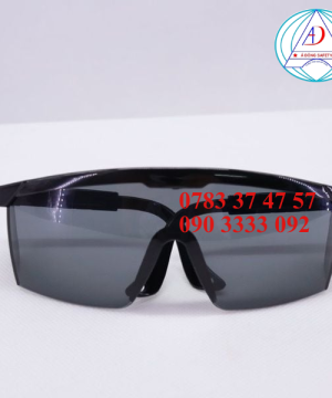 kinh-bao-ho-ev105