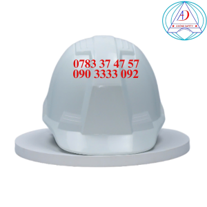 non-bao-ho-lao-dong-n04-pp-mau-trang