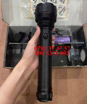 den-pin-wasing-h22